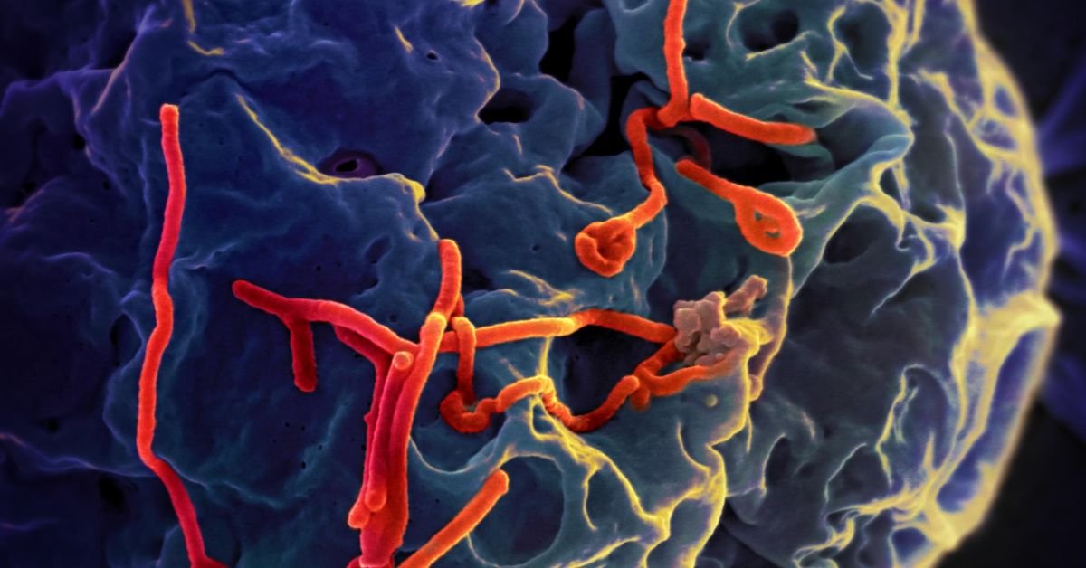 ebola virus disease kenya